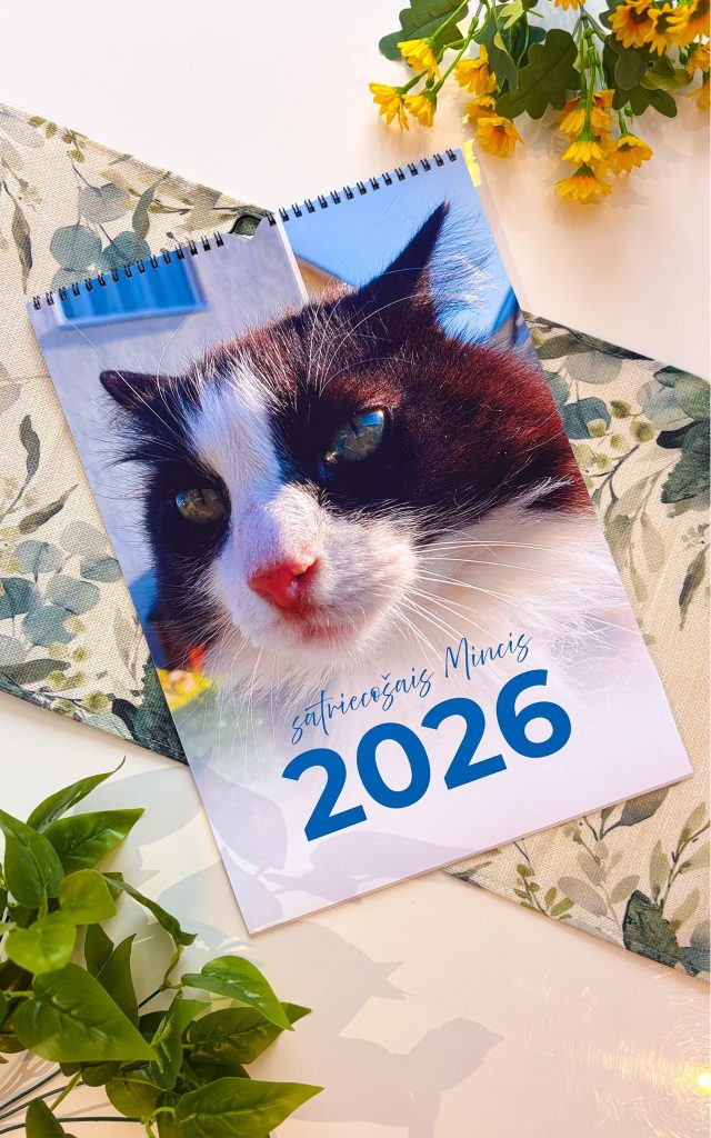 aelight_produkti_personalizets_kalendars (3)