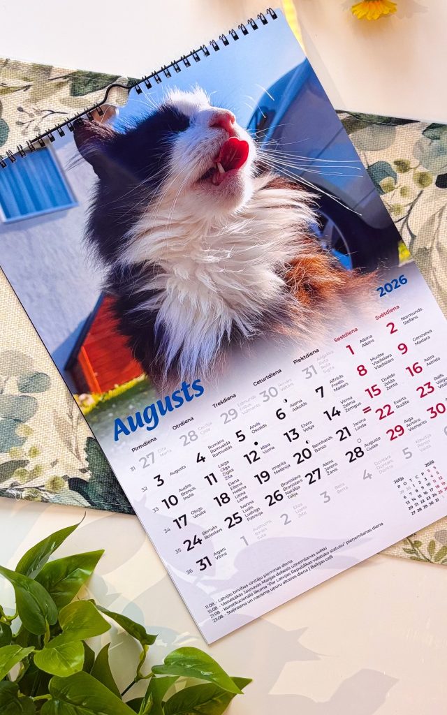 aelight_produkti_personalizets_kalendars (6)